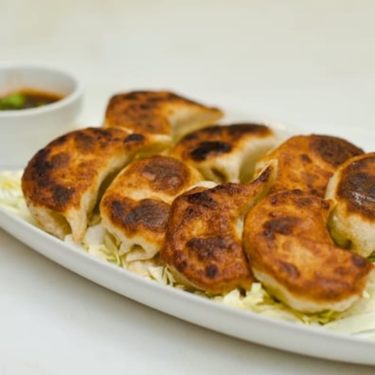 Savor Our Dumplings